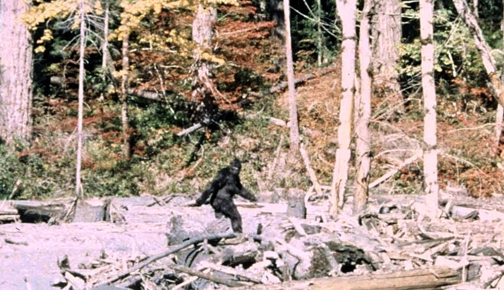 Bigfoot also known as the Sasquatch "Sasquatch and the Yeti" from 7movesrevolution.com blog